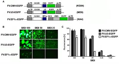 Rescued Chondrogenesis of Mesenchymal Stem Cells under Interleukin 1 Challenge by Foamyviral Interleukin 1 Receptor Antagonist Gene Transfer